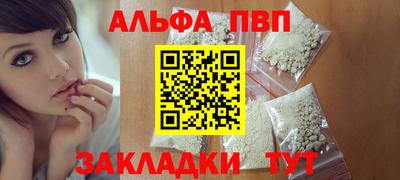 гашик Тара