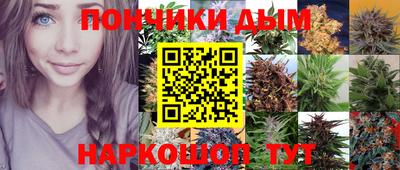 гашик Тара