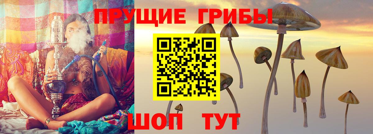 Галлюциногенные грибы MAGIC MUSHROOMS Мурино