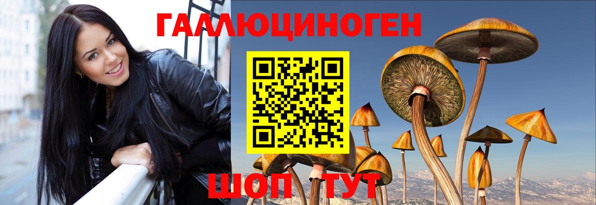 Мурино  Псилоцибиновые грибы Magic Shrooms  Псилоцибиновые грибы мицелий  Вход с VPN 